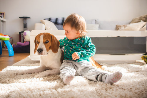 Child and Pet-Proofing Your Home - wadeworkscreative.com